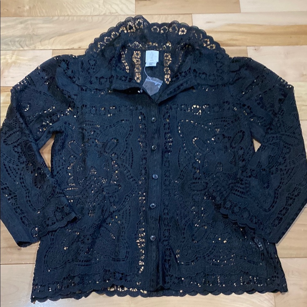 Joie Elegant Black Lace Blouse with Gorgeous Collar